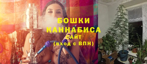 дмт Арсеньев