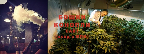 дмт Арсеньев